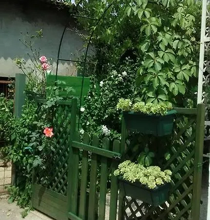 A Casa Di Silvia Bed and breakfast